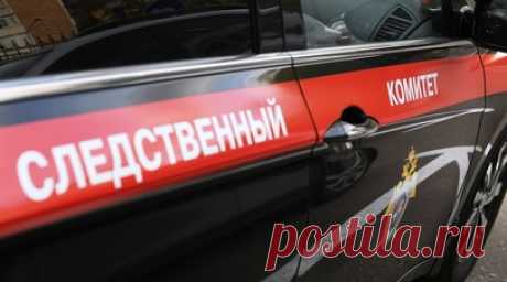 В ХМАО завели дело после падения столба электропередачи на ребёнка. На четырёхлетнего ребёнка в ХМАО упал столб электропередачи, сообщили в пресс-службе СУ СК России по региону. Читать далее