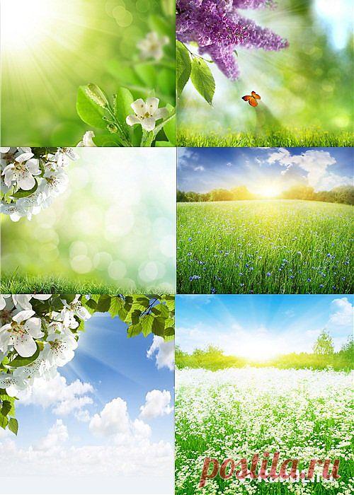 Растровый клипарт - Летние пейзажи » RandL.ru - Все о графике, photoshop и дизайне. Скачать бесплатно photoshop, фото, картинки, обои, рисунки, иконки, клипарты, шаблоны.