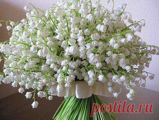 (49) Одноклассники