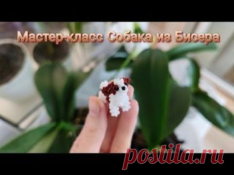 Интерьерное украшение: вязаная собака-украшение

Амигуруми собака, воплотившая в себе фантазии и воображения своего создателя.