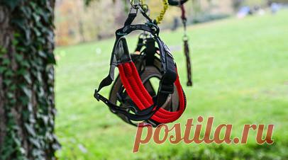 Психолог Ахметова: хоббидоггинг мог стать популярен из-за нехватки живого общения. Психолог Вероника Ахметова предположила, что хоббидоггинг мог стать популярен из-за нехватки живого общения. Читать далее