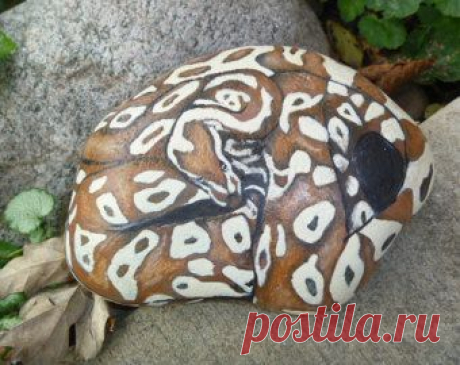 Walrus painted rock