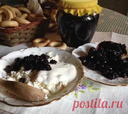 Ирга - украшает дачу, помогает сохранить здоровье