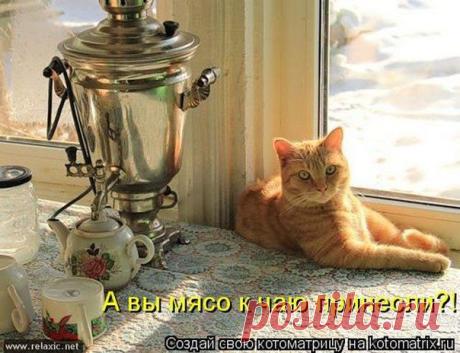 Новости