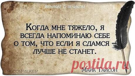 * * * * * * * * * * * *