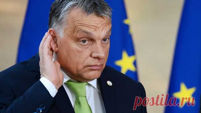 Орбан предложил Зеленскому поблагодарить Венгрию