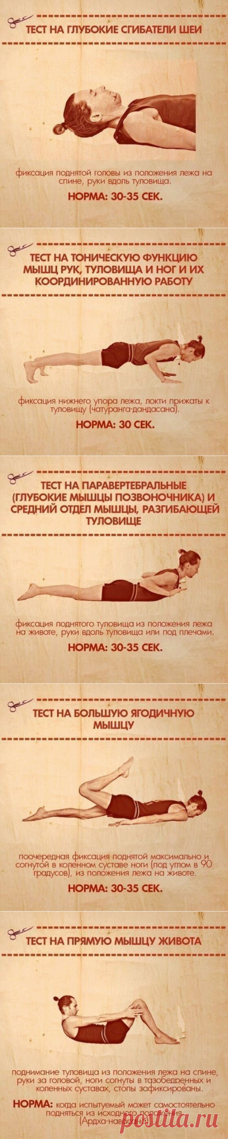 Тест- упражнения, которые покажут ваши слабые места