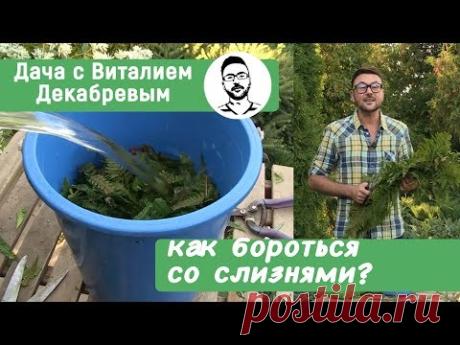 Простой метод борьбы со слизнями в огороде