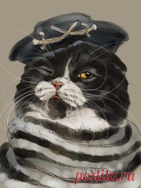 cat pirate Watchful eye by Animal75Artist on DeviantArt