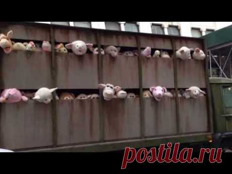 Banksy: Sirens of the Lambs. Union Square. NYC