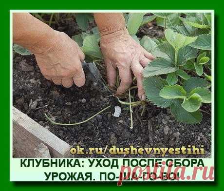 (94) Одноклассники