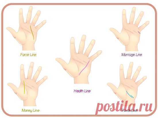 Как читать линии на руках
