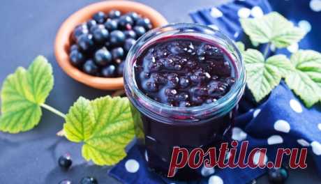 Желе из черной смородины / Простые рецепты