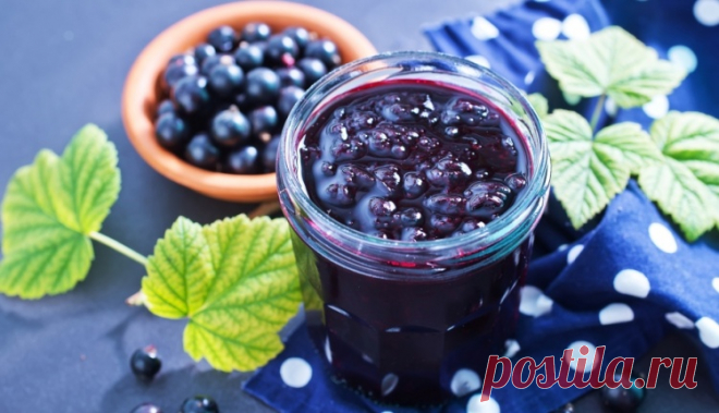 Желе из черной смородины / Простые рецепты
