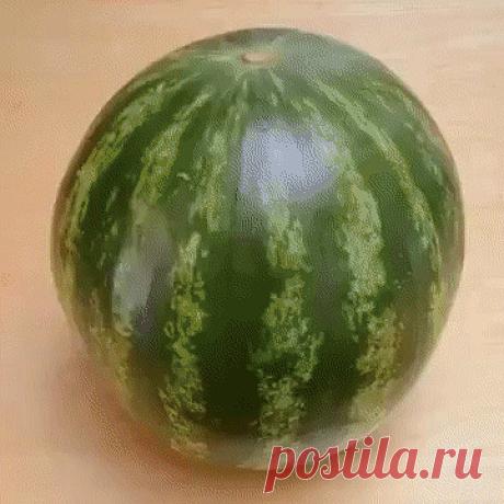 1 непрочитанный чат