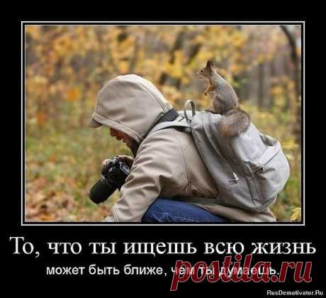 Интересные новости
