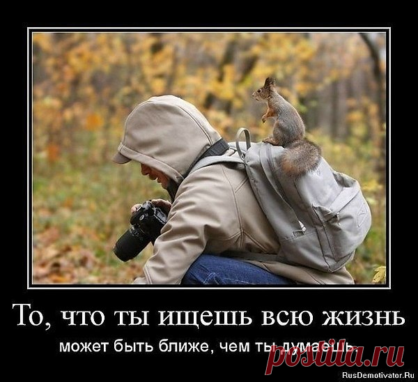 Интересные новости