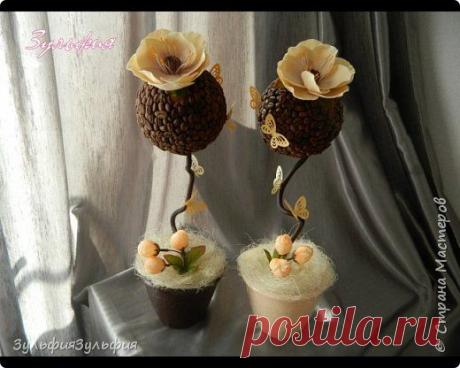 персиковое,кофейное деревце | Страна Мастеров