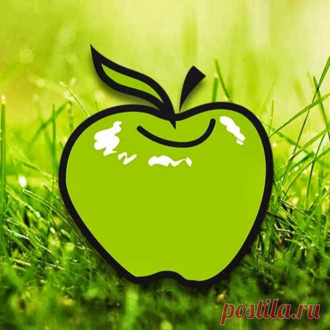 Садовый Мир 