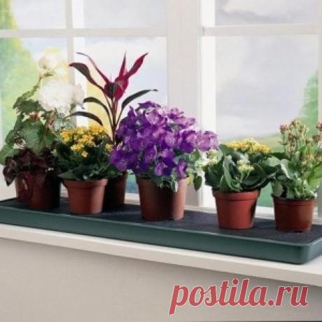 Новости - МирТесен