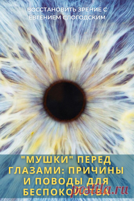 Мушки в глазах что это такое Зуд сухость глаз Деструкция стекловидного тела Как избавиться от плавающих мушек Нарушение зрения Вернуть зрение Помутнения перед глазами причины и лечение Средства для улучшения зрения Упражнения для глаз Мушки в глазах исчезают навсегда Плавающие помутнения точки паутинки перед глазами Болезни глаз Возрастное изменение Заболевания сетчатки Устают глаза Боль Плохое зрение Восстановить зрение с Евгением Слогодским без операции Гимнастика тренажёр для глаз Миодезопсия