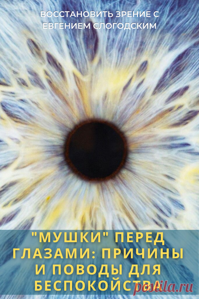 Мушки в глазах что это такое Зуд сухость глаз Деструкция стекловидного тела Как избавиться от плавающих мушек Нарушение зрения Вернуть зрение Помутнения перед глазами причины и лечение Средства для улучшения зрения Упражнения для глаз Мушки в глазах исчезают навсегда Плавающие помутнения точки паутинки перед глазами Болезни глаз Возрастное изменение Заболевания сетчатки Устают глаза Боль Плохое зрение Восстановить зрение с Евгением Слогодским без операции Гимнастика тренажёр для глаз Миодезопсия