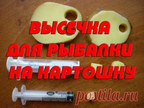 Высечка для рыбалки на картошку при ловле карпа из шприца