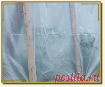 Как выбрать тепличную пленку? Виды и типы парниковой пленки. - Садоводка