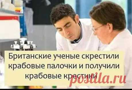 Новая банка NЕSСАFЕ. Теперь на 20 окурков больше - РЖАКА - 21 марта - 43951658296 - Медиаплатформа МирТесен