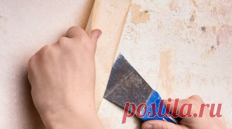 5 способов использования кондиционера для белья, о которых вы даже не догадывались | Андреева Мария | Яндекс Дзен