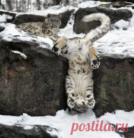 Мои закладки