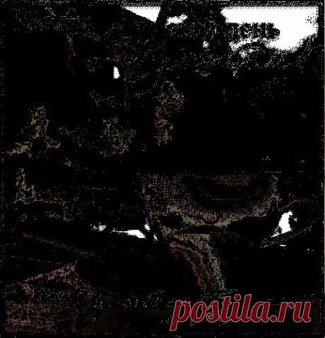 Писательница — я.ру