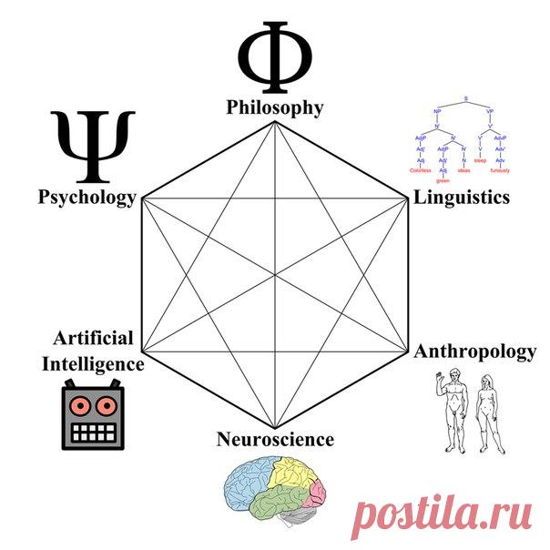 Когнитивистика, когнитивная наука (лат. cognitio «познание») — междисциплинарное научное направление, объединяющее теорию познания, когнитивную психологию, нейрофизиологию, когнитивную лингвистику, невербальную коммуникацию и теорию искусственного интеллекта. 

Рекомендуемые книги по нейронаукам: 
1. Научно-популярные книги. 
2. Учебники и книги, охватывающие несколько разделов. 
3. Методические пособия. 
4. Развитие и эволюция нервной системы. 
5. Анатомия и морфология не...
