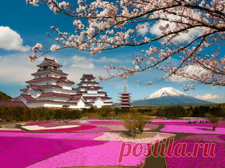 Сегодня, Вы будете изготавливать дерево, которое называется Сакура. Сакура — не просто дерево. Это дерево — символ Японии, символ юности и красоты. Для японцев — это национальный праздник. И когда Сакура начинает цвести — это самое красивое зрелище в Японии. Мне очень нравится Сакура, это дерево очень нежное и, конечно же, мне захотелось сделать себе такую красоту. Хорошо, что у нас множество информации на просторах интернета, и вот теперь я делюсь своим опытом с Вами.