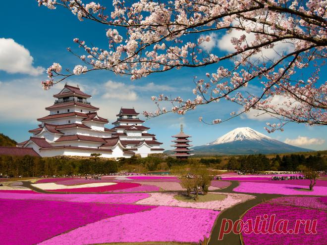 Сегодня, Вы будете изготавливать дерево, которое называется Сакура. Сакура — не просто дерево. Это дерево — символ Японии, символ юности и красоты. Для японцев — это национальный праздник. И когда Сакура начинает цвести — это самое красивое зрелище в Японии. Мне очень нравится Сакура, это дерево очень нежное и, конечно же, мне захотелось сделать себе такую красоту. Хорошо, что у нас множество информации на просторах интернета, и вот теперь я делюсь своим опытом с Вами.