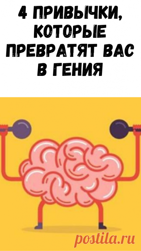 4 привычки, которые превратят вас в гения - Советы хозяйке