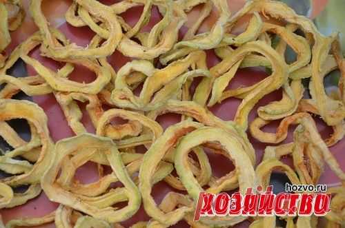 Сушеные кабачки как грибы