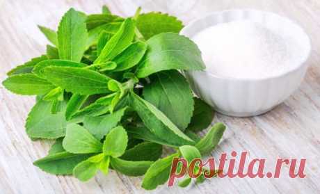 Чем заменить сахар при правильном питании - в выпечке, без вреда