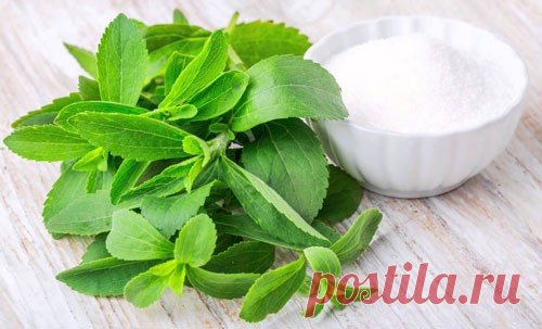 Чем заменить сахар при правильном питании - в выпечке, без вреда