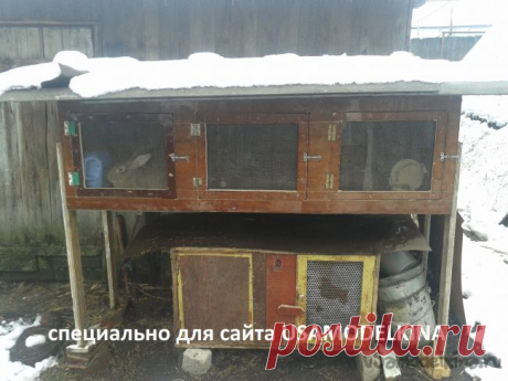 Крольчатник на трех крольчих с маточниками из шкафов