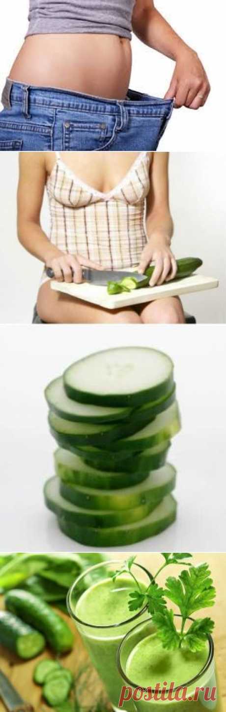 Неделя на огурцах &amp;#8212; Всегда в форме!