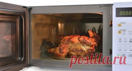 Вредны ли микроволновки? | человек глаголет | Яндекс Дзен