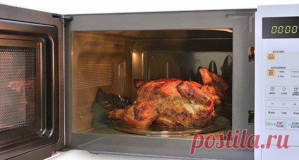 Вредны ли микроволновки? | человек глаголет | Яндекс Дзен