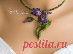 (65) Одноклассники