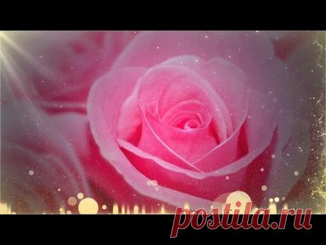 Розовый бриз для Вас! Pink breeze for you!