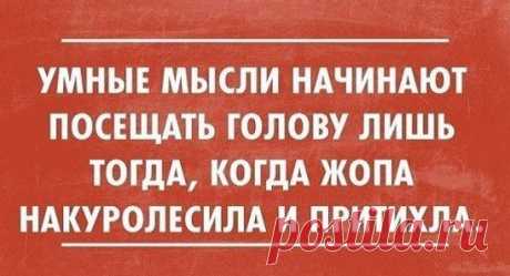 анекдоты...