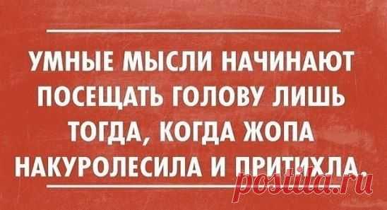 анекдоты...
