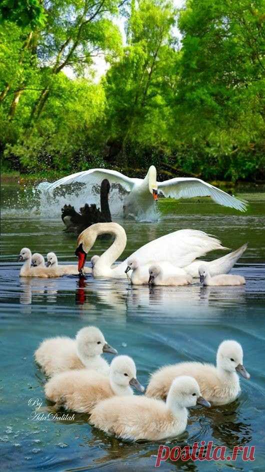 Открытки для поздравления