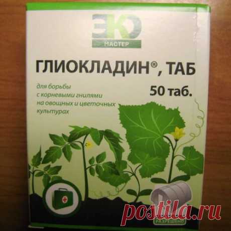Полезные советы от болезней растений..