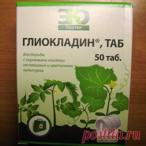 Полезные советы от болезней растений..
